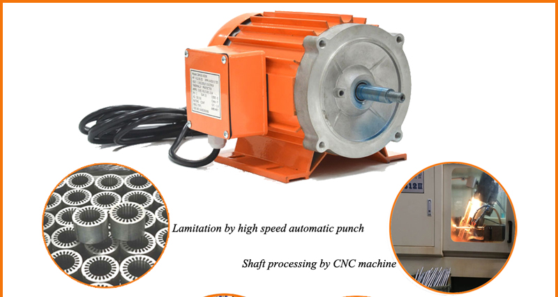 pool pump motor